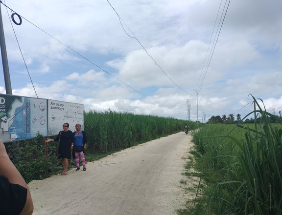 QAVAH PLAINS SUBDIVISION Commercial/Residential lots.MEDELLIN CEBU