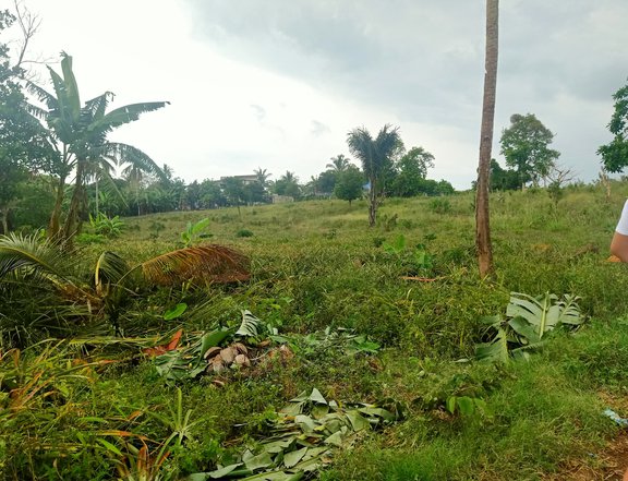 Farmlot Residential For sale near Tagaytay City Cold Weather