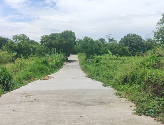 Farm residential Lot 500 sqm For Sale Payable in 2 years