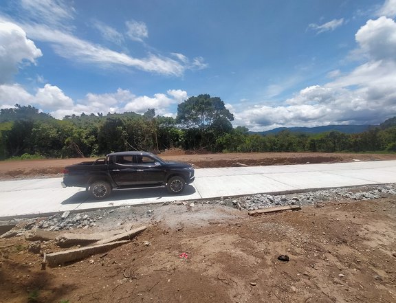 330 sqm Residential Lot For Sale in Tanay Rizal