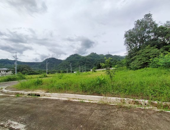 Palo Alto Leisure Residential and Farm Lot For Sale in Baras Rizal