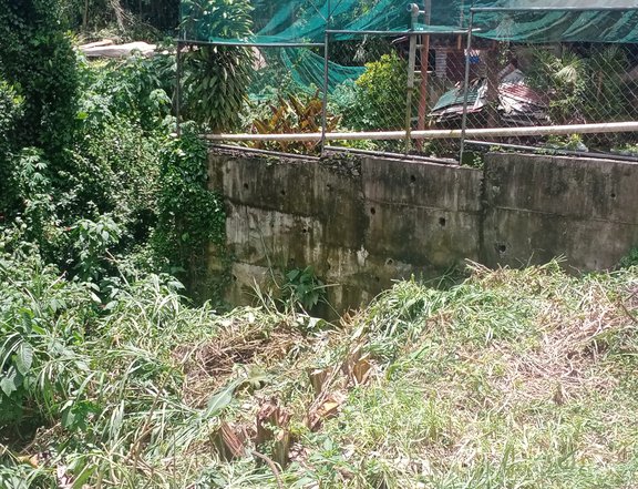 135 sqm Residential Lot For Sale in Baguio Benguet