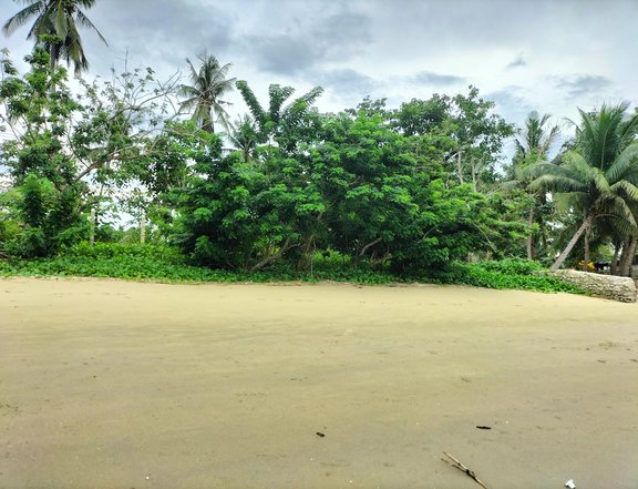 8,000 sqm Beach Property For Sale in Salvacion, Roxas Palawan