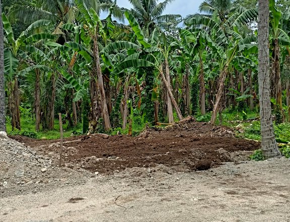 LOT FOR SALE NEAR ECOTOURISM ROAD in Candelaria Quezon