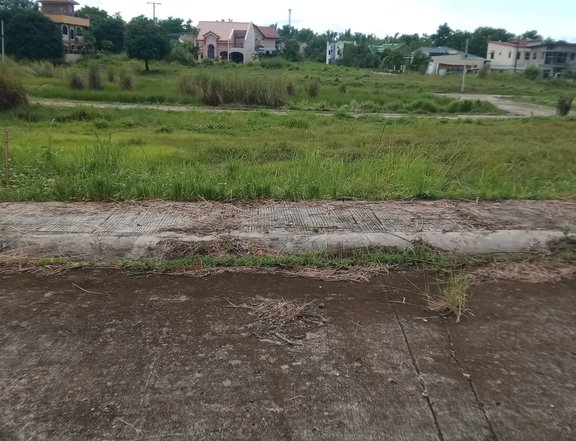 Discounted 170 sqm Residential Lot For Sale thru Pag-IBIG in Alaminos
