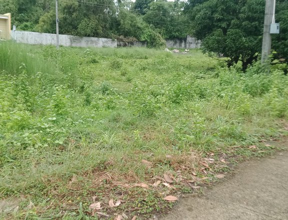 Discounted 144 sqm Residential Lot For Sale thru Pag-IBIG in Alaminos
