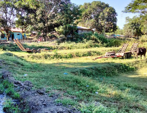 691 sqm Residential Farm For Sale in Balungao Pangasinan