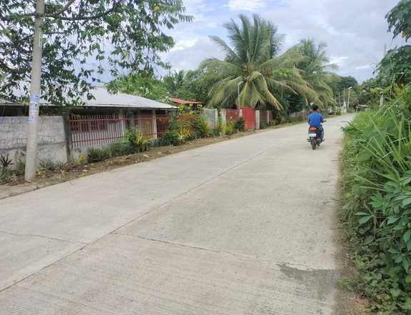 2022 sqm compound  of 3 houses in four lots located purok 6 brgy manay panabo city davao del norte