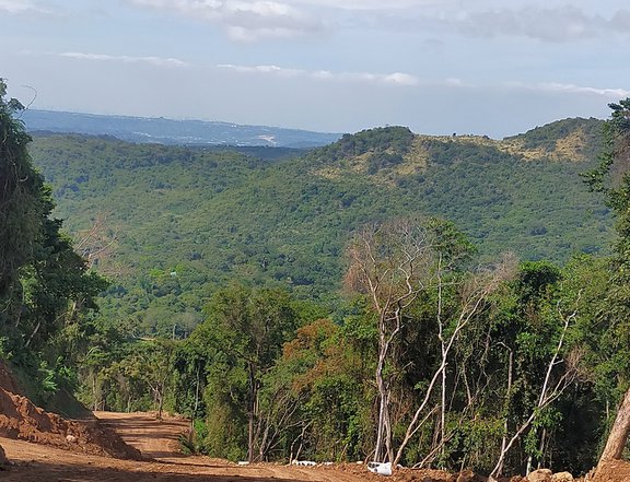 252 sqm Residential Lot For Sale in Tanay Rizal
