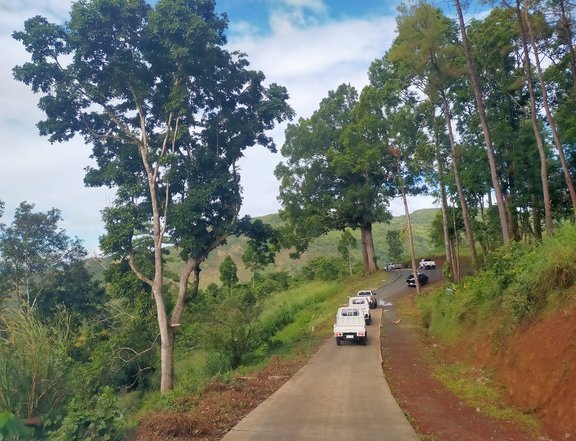 1,000 sqm Residential Farm For Sale in Tanay Rizal w/ Coolest Weather