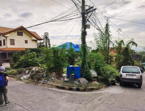 Lot Only For Sale In Ridgemond Taytay Rizal