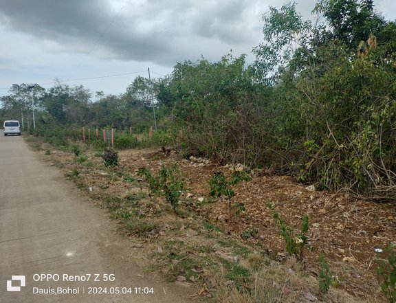 400sqm Commercial/Residential Lot For Sale in Panglao Bohol