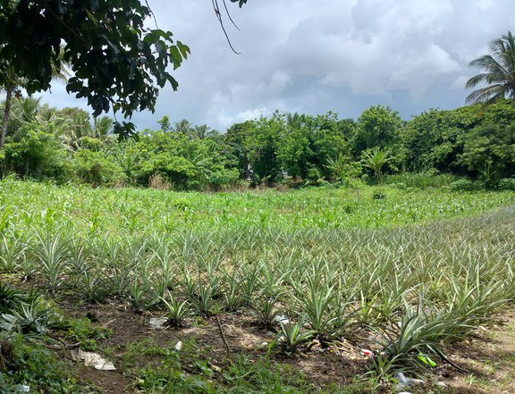 300 sqm Residential Farm For Sale in Mendez (Mendez-Nunez) Cavite