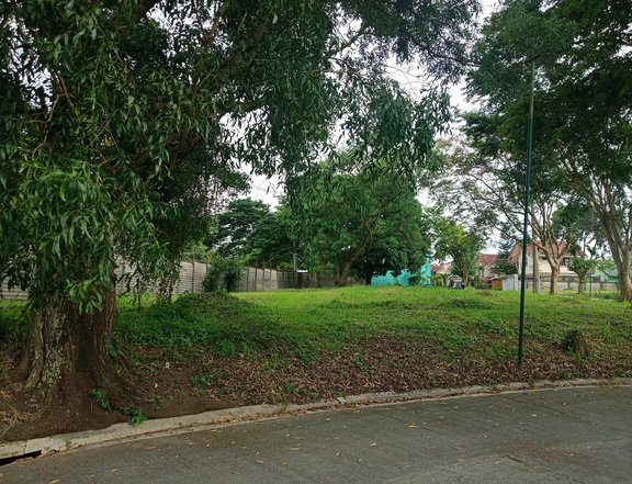 280sqm Residential Lot For Sale in Greenwoods Dasmarinas Cavite #lotforsale #investment #culdesac