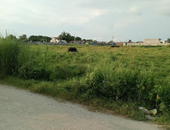 20,000 sqm Commercial Lot For Sale in Porac Pampanga