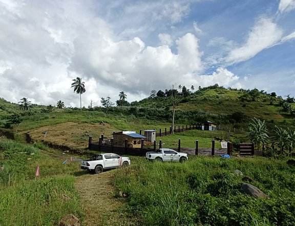 Titled Farm Lot in Salaysay Marilog 1,017sqm - 350/sqm