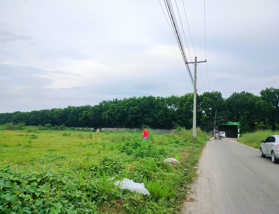 FarmLot for Sale  Along Brgy Road Boundary of Pias n Balubad