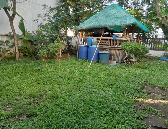 120 sqm Residential Lot For Sale in Binan Laguna