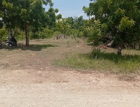 2 hectares Farm Lot For Sale in Moalboal Cebu