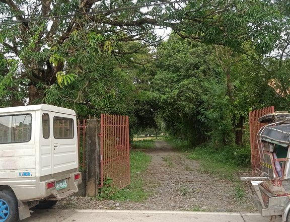 Residential Farm For Sale in Brgy. Lunec Malasiqui Pangasinan