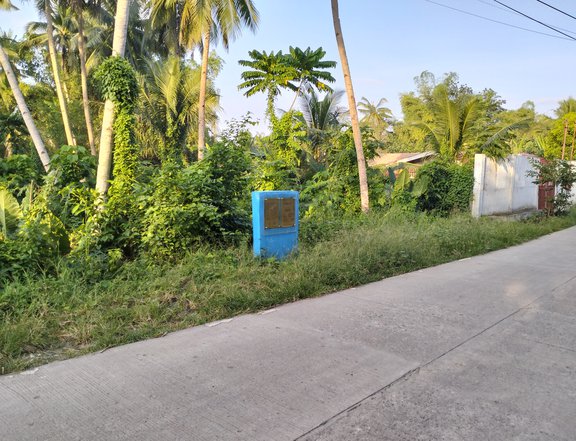 Ronda Cebu Raw land for sale