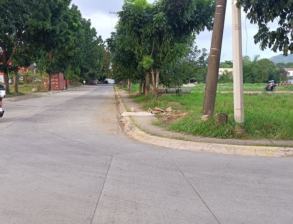 SAN MATEO RES'L LOT NEAR C6-BATASAN ROAD, QC 170 SQM UP