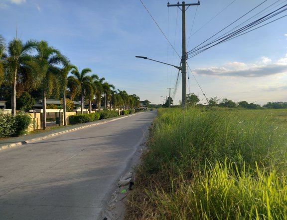 Commercial Lot along Alasas San Isidro Road