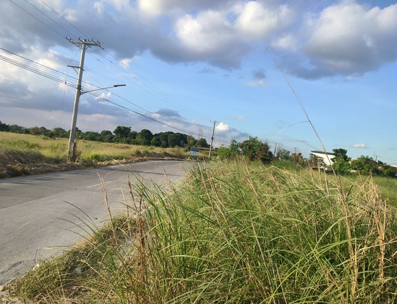 Commercial Lot along Alasas San Isidro Road
