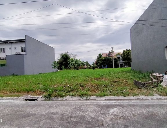 Affordable Residential LOT for SALE in St. Judith Hills Executive Village Antipolo City