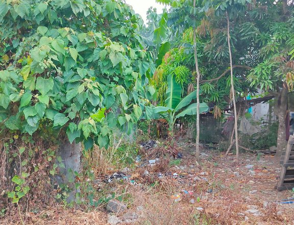 1,000 sqm Lot for Long Term Lease