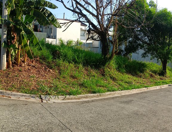 200 sqm Commercial Lot For Sale in Taytay Rizal