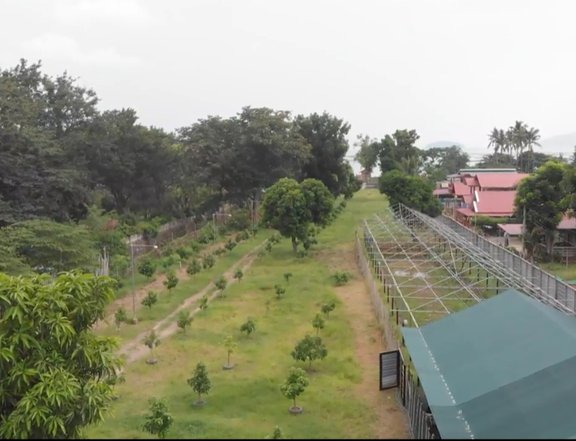 Lakefront farm lot in Talisay Batangas