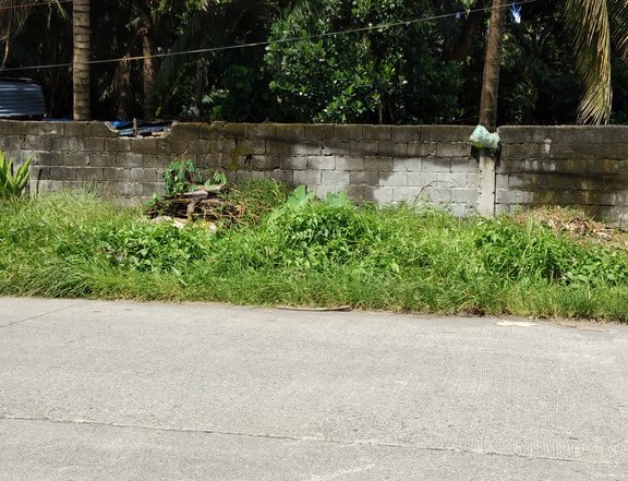 5986sqm commercial lot McLeod Toril  Davao City