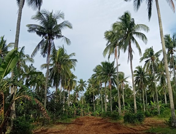 Residential farm lors
