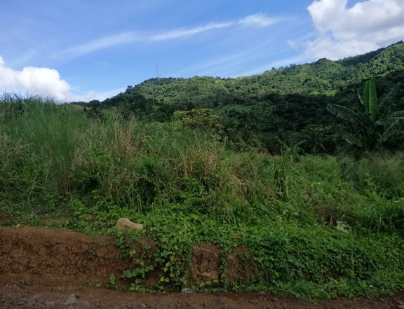 For Sale Overlooking Lot in Tanay Rizal for Resort Cuyambay 2.4ha