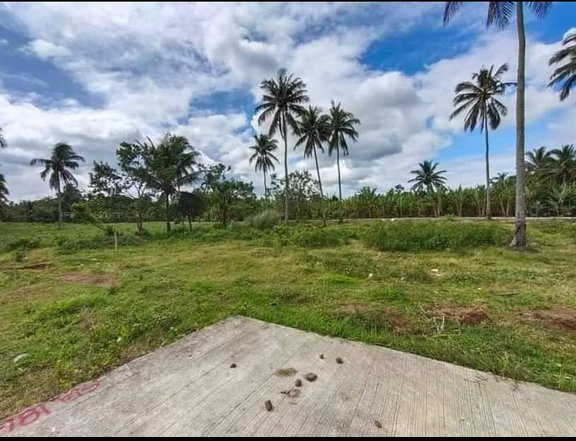 Avail our Newly Opened Residential Farmlot near in Tagaytay