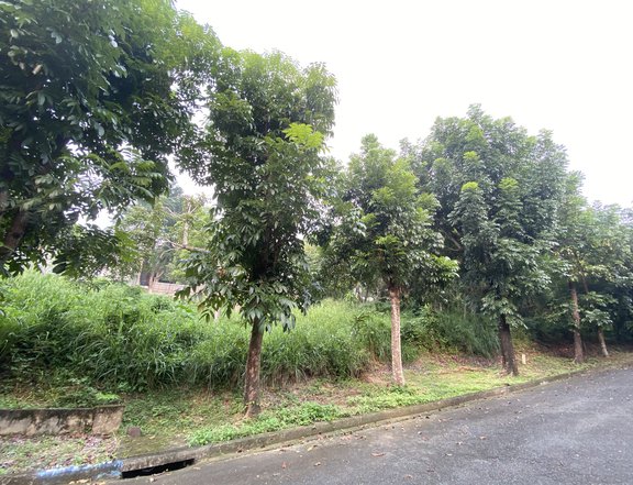 Lot for Sale in Fairmount Hills Antipolo City near Tikling and Beverly