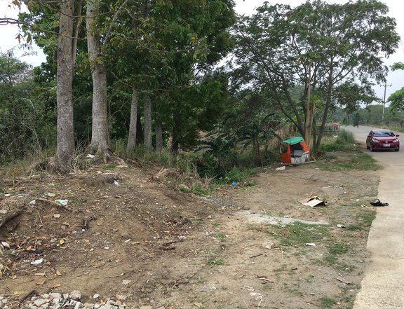 Commercial lot for sale in Osorio Trece Martirez city