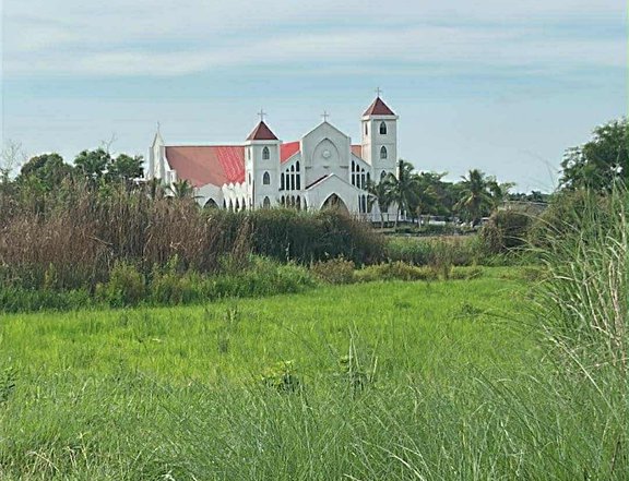 238 sqm residential lot for sale in Bangad Cabanatuan city..