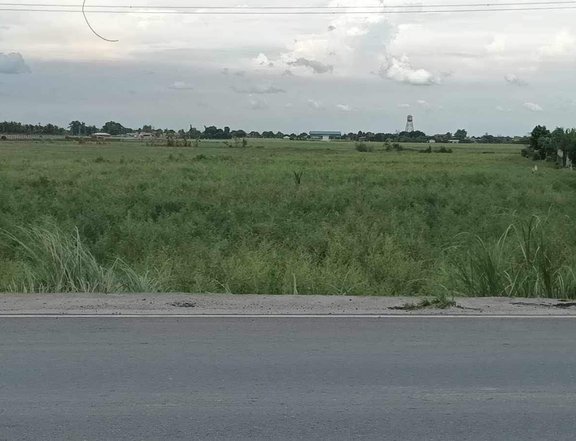 4.74 hectares Agricultural Farm for sale in Concepcion Tarlac