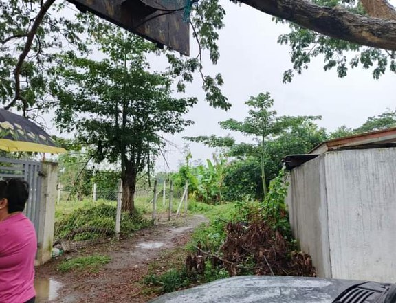 360 sqm Residential Farm For Sale in San Pablo Laguna