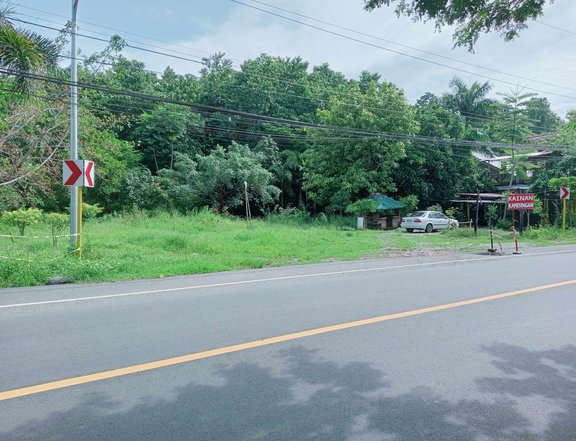 9,586 sqm Commercial Property For Sale with house and restaurant, along hiway to Baler