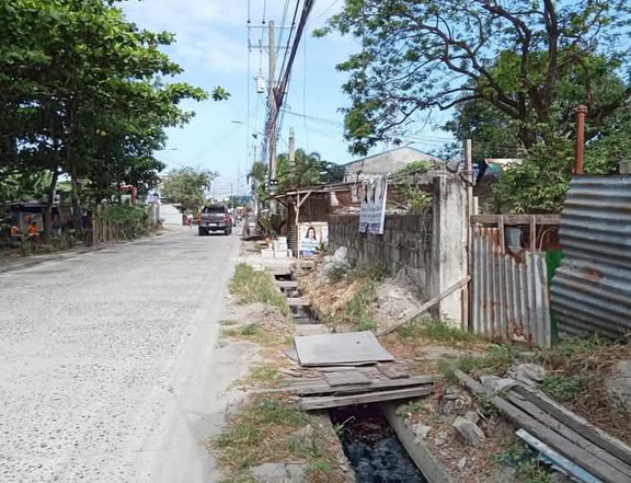 216 sqm Residential Lot For Sale in dolores heights San Fernando Pampanga