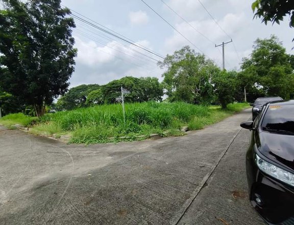 201 sqm Residential Lot For Sale in southpointCabuyao Laguna