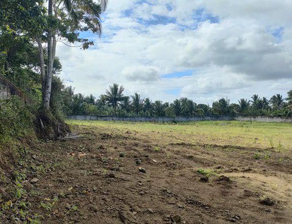 230 sqm Residential Lot For Sale in Silang Cavite