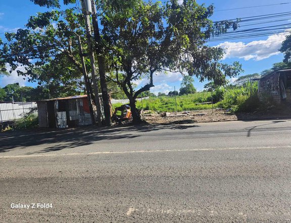 21.7 Hectares Residential Lot For Sale in Trece Martires Cavite