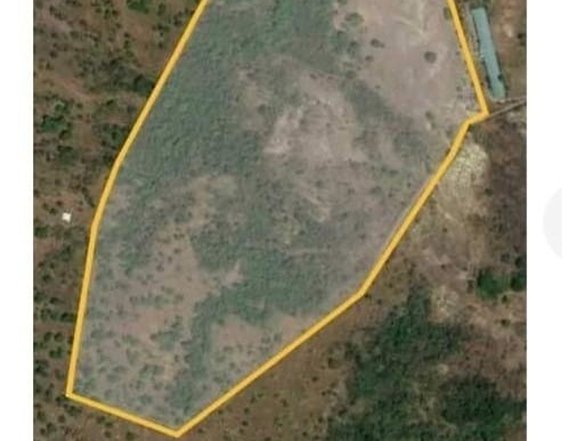 Farm land with 200 Mango fruit trees loc 2.30kms away from the highway