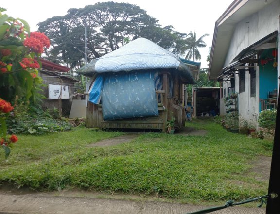 House and Lot for sale Lot area: 184sqm. House area: 25 sqm.bungalow type, Kubo area: 12 sqm.