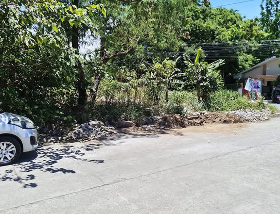 320 sqm Residential Farm For Sale in Calamba hills Laguna