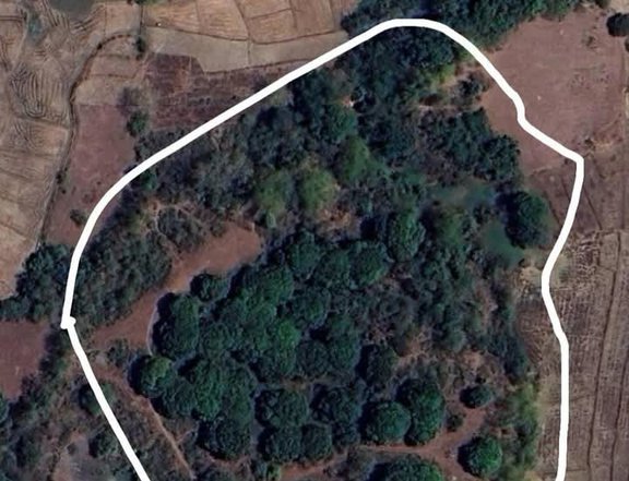 2 hectares Farm Lot For Sale in Balungao Pangasinan